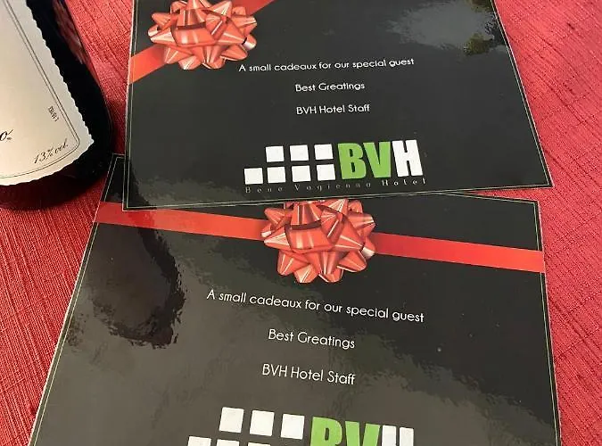 Bvh Hotel 3*